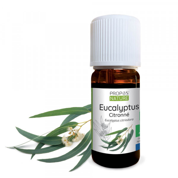 huile essentielle de eucalyptus bio